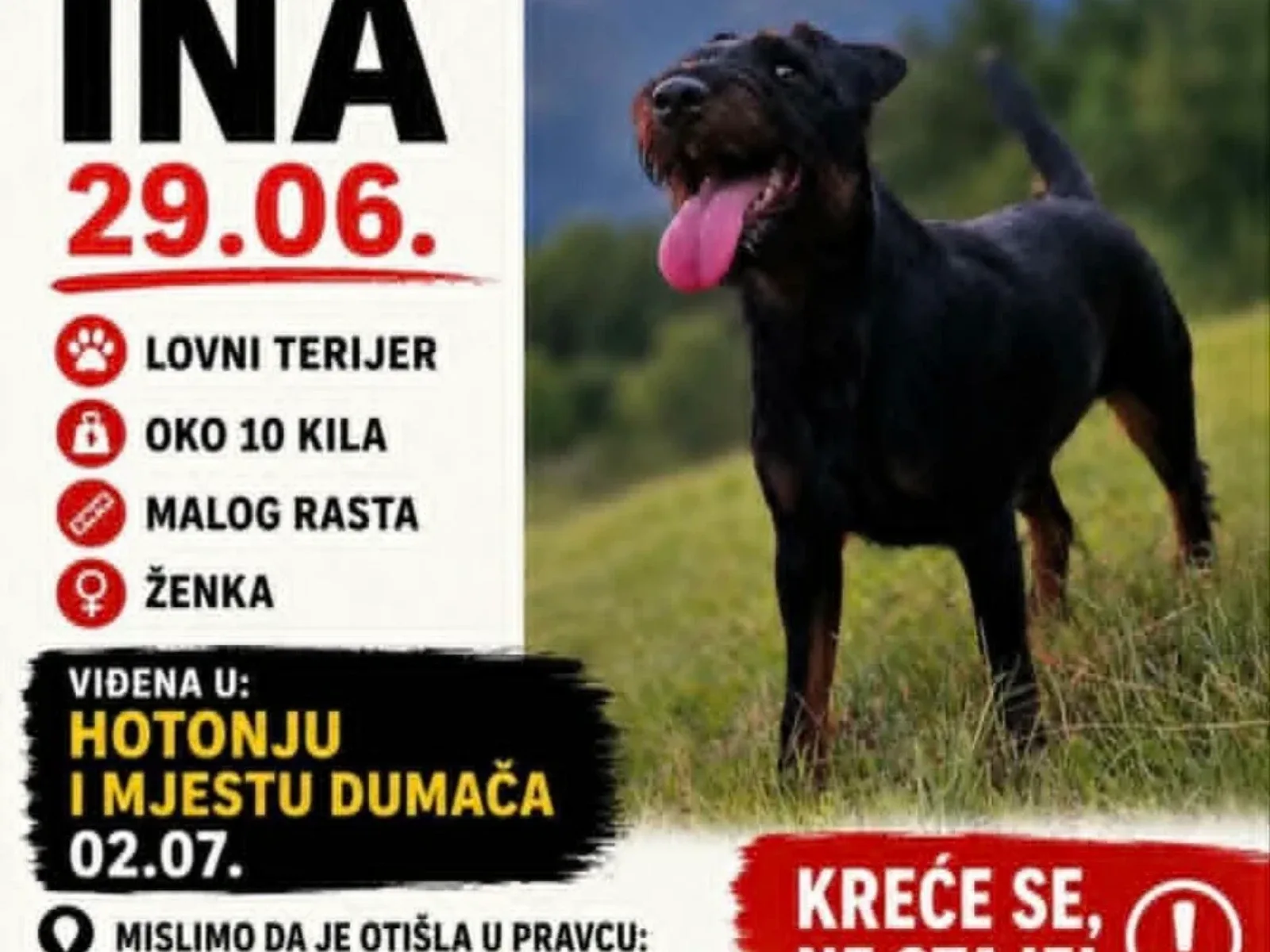 Ženka psa Ina nestala na području Sarajeva: Jeste li je vidjeli?